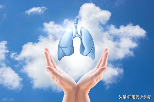 好肺好健康，日常生活中護肺良方